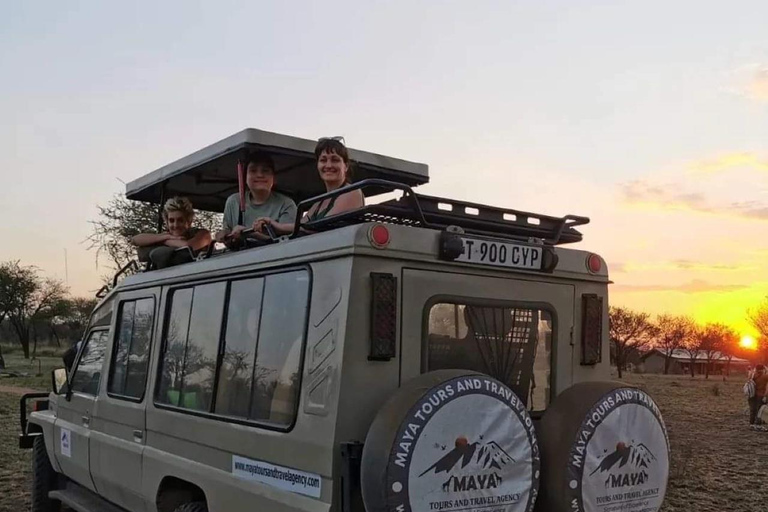 Dagsafari från Zanzibar till Mikumi med färja och SGRDagsutflykt Safari från zanzibar till mikumi med färja och SGR