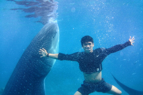 Cebu: Oslob Whale Shark Encounter &amp; SUMILON with Transfers