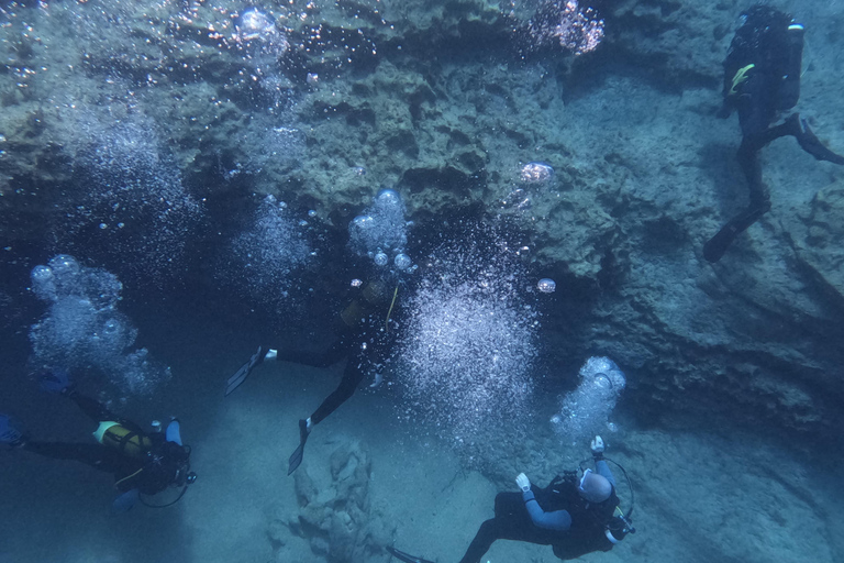 Paphos: Entdecken Sie das Tauchen mit Abholung