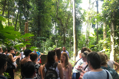 2 dagars rundtur Pinnawala/Sigiriya från Kandy2 dagars rundtur med tuk tuk