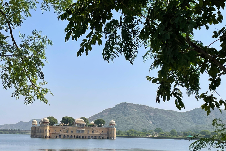 斋浦尔带司机和导游的私人城市之旅