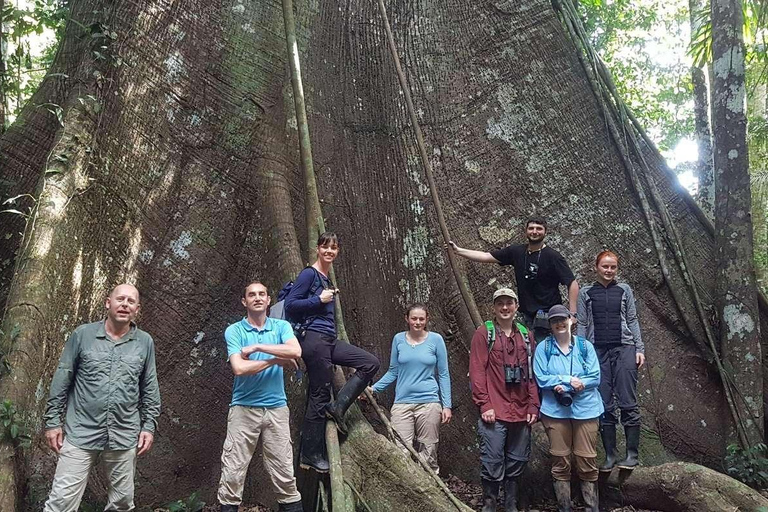 Manu-Nationalpark 3-, 4- oder 5-tägige Tagestour