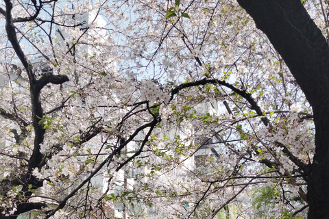 Visite privée de Kyoto avec guide anglophone et véhicule