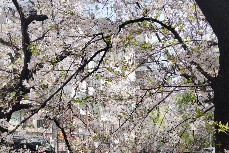 Visite privée de Kyoto avec guide anglophone et véhicule