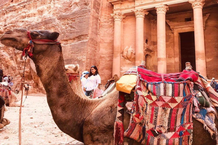 From Amman : Petra , Wadi Rum & Dead Sea ( 2 Day Trip ) Amman : Petra - Wadi Rum & Dead Sea ( 2Day 1 Night Tour )