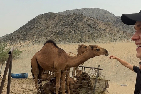 From Jeddah: Desert Tour with Camel Farm Visit & Sunset Tea