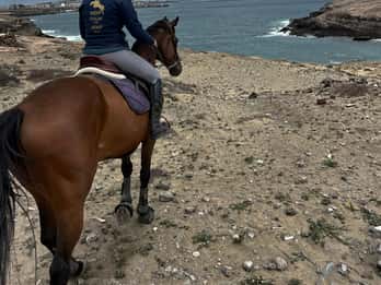 3 horas de passeio a cavalo pela costa