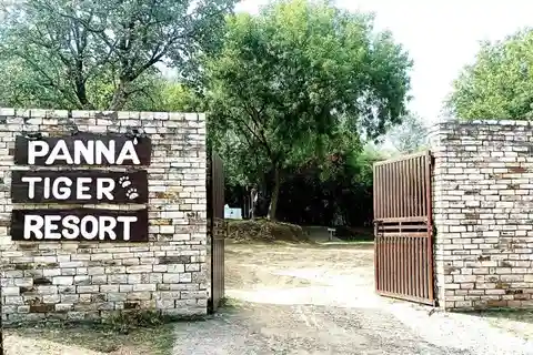 3-Day Temple Trails & Tiger Tales: Delhi-Khajuraho-Panna