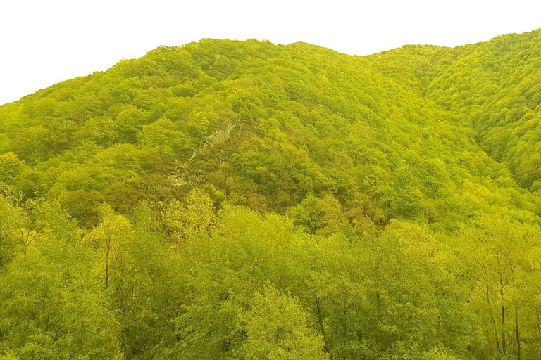 Kazbegi Mountain Adventure: Nature & Panorama Day Trip