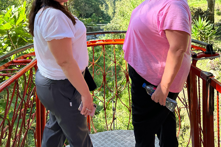 From Quito: Cotopaxi and Baños Day Trip with Lunch