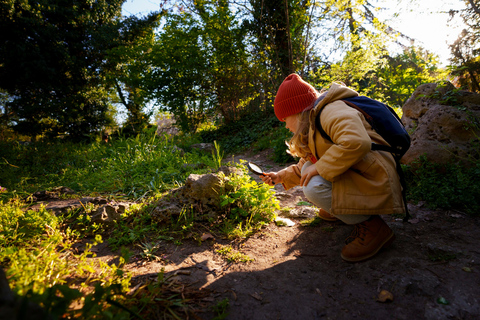 Yerevan: Wild Herbs Foraging Experience in the Nature
