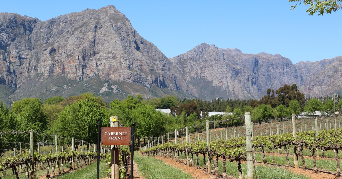 Table Mountain Constantia Wine Estate Private Combo Tour Getyourguide