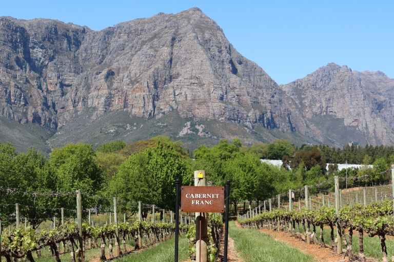 Tafelberg en Constantia Wine Estate privécombo-tour