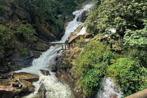 From Hikkaduwa/Galle/Mirissa : Waterfall & Tea Factory Tour