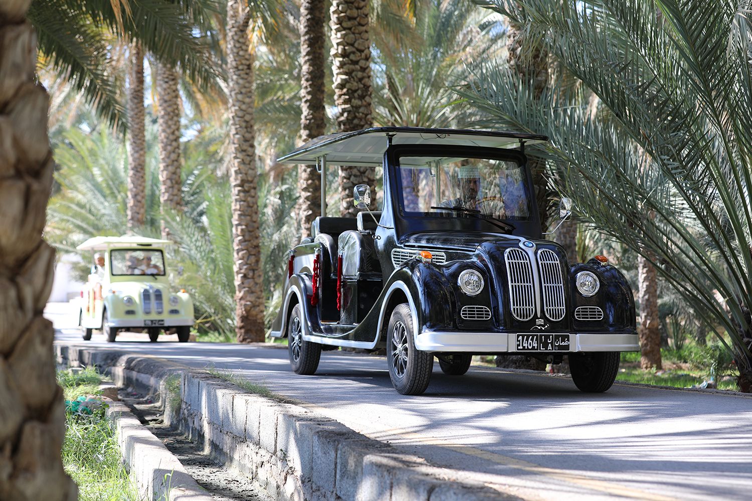 Ab Al Hamra: Al Hamra Elektrowagen-Tour