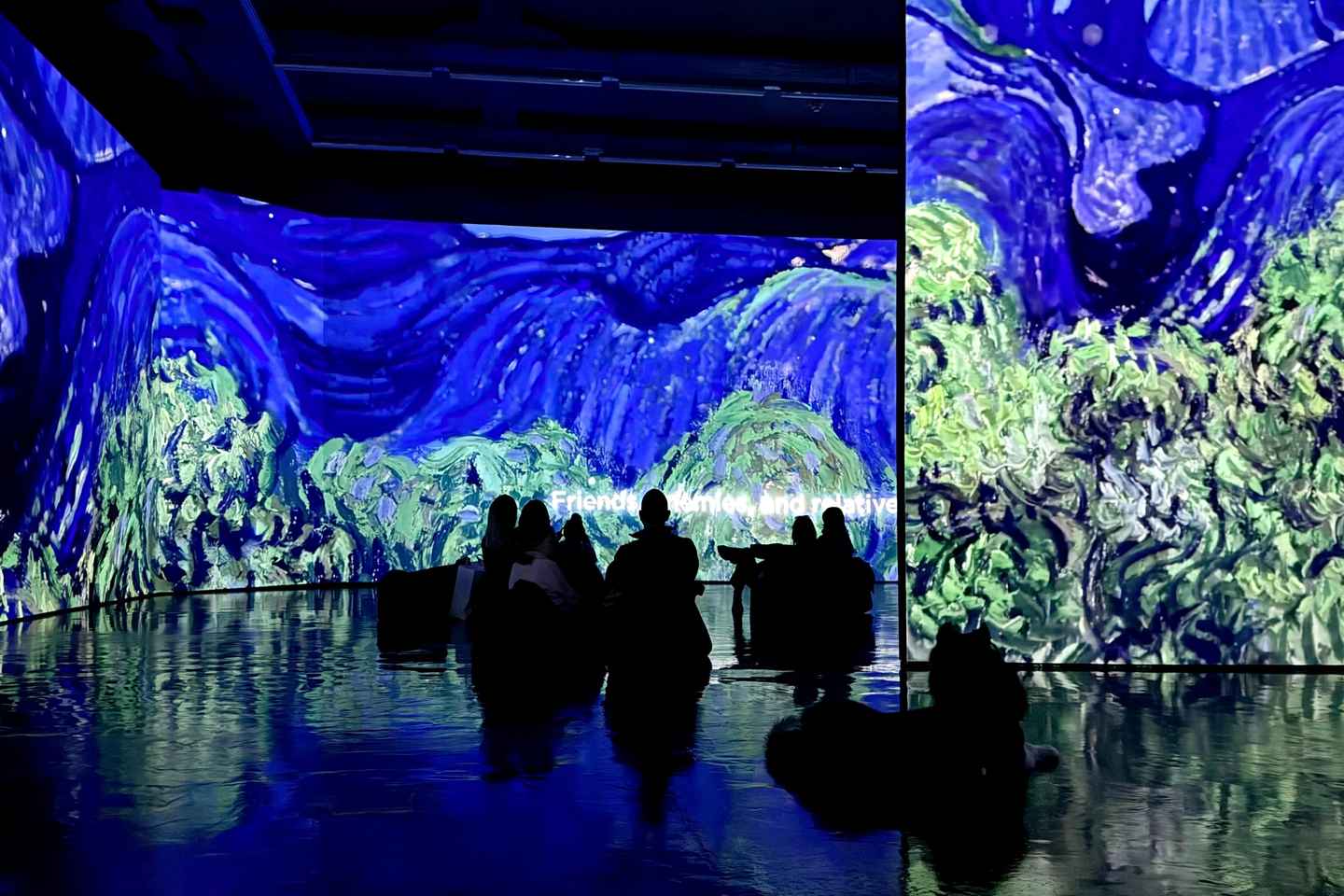 Budapest: Van Gogh Immersive Exhibition Ticket