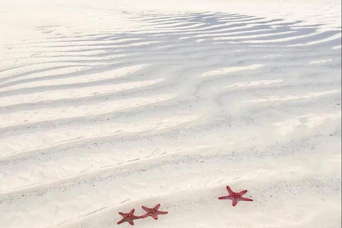 Zanzibar: Fängelseön och Nakupenda Sandbank Tour med lunchZanzibar: Fängelseön och Nakupenda Sandbank-tur med lunch