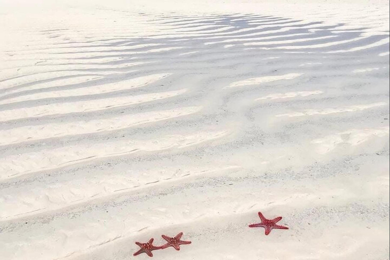 Zanzibar: Fängelseön och Nakupenda Sandbank Tour med lunchZanzibar: Fängelseön och Nakupenda Sandbank-tur med lunch