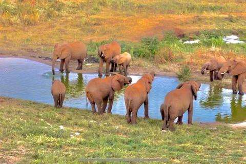 Mombasa/Diani: Taita Hills 2-Day Safari with Meals & Pickup