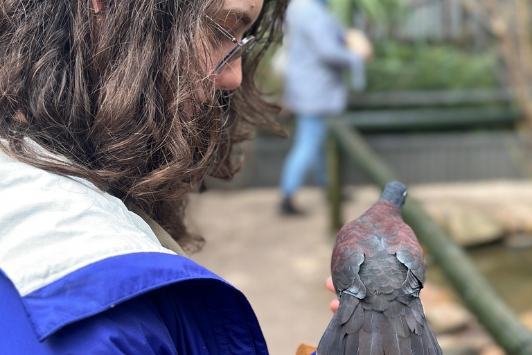 Von Adelaide aus: Kuscheln mit einem Koala und historische Hahndorf-Tour