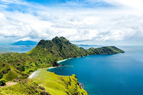 Från Labuan Bajo: Dagstur till Komodoön med snorkling