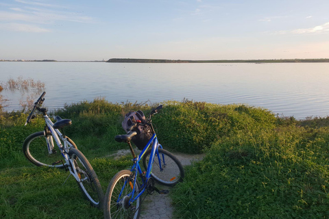 Larnaca: Salt Lake & Cultural Highlights Guided Bike Tour