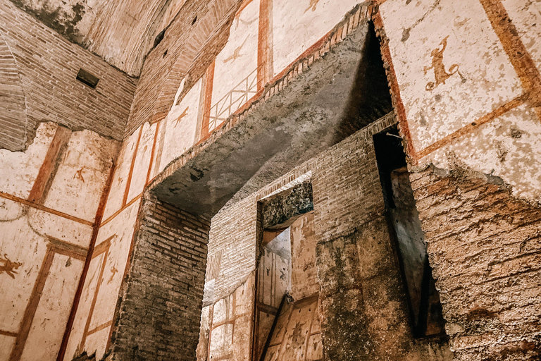 Rome: Domus Aurea Guided Tour and Virtual Reality Experience