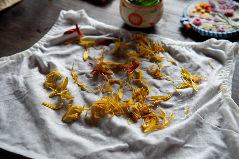 Hoi An: Indigo Dyeing and Eco Printing Workshop