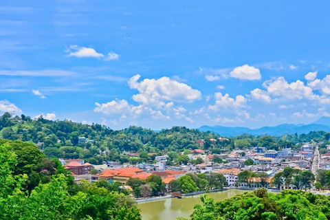 Kandy: Tuk-Tuk Sights, Culture, Shopping & Treatment