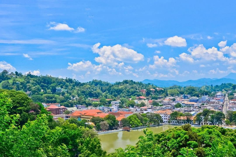 Kandy: Tuk-Tuk Sights, Culture, Shopping & Treatment