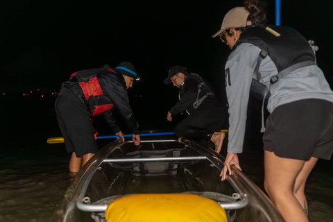 Vieques Bio Bay Kayak Experience - From Mainland Puerto Rico