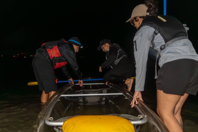 Vieques Bio Bay Kayak Experience - From Mainland Puerto Rico