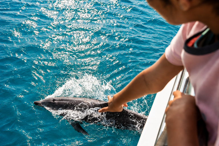 Port Stephens: Dolphin Discovery Cruise