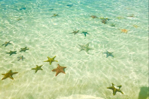 Zanzibar: Fängelseön och Nakupenda Sandbank Tour med lunchZanzibar: Fängelseön och Nakupenda Sandbank-tur med lunch