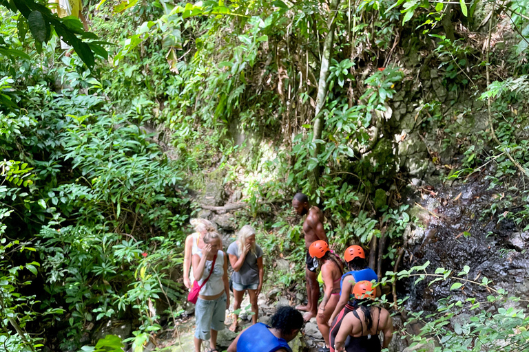 Tobago: Argyle Waterfall Adventure
