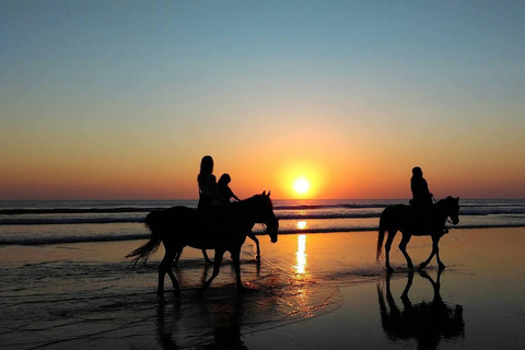 Punta del Este: Beleef een onvergetelijke rit te paard op het strand