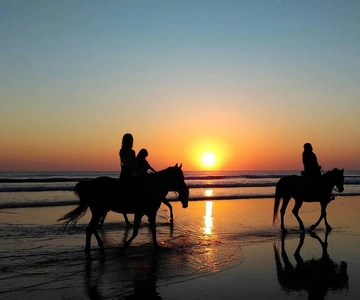 Punta del Este: Experimenta um passeio a cavalo inesquecível na natureza