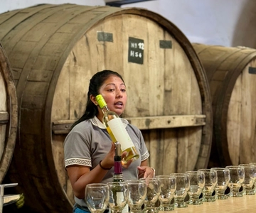 Cafayate: tour di un'intera giornata tra cantine e degustazioni di vini