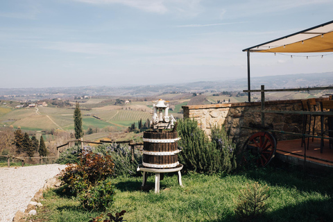 Florence: Pisa, San Gimignano, Siena & Chianti Private Tour Private Tuscany Tour