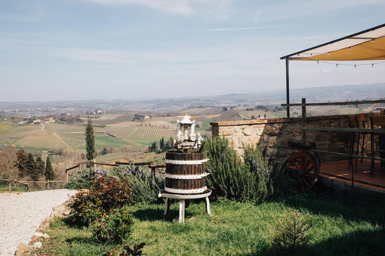 Florence: Pisa, San Gimignano, Siena & Chianti Private Tour Private Tuscany Tour