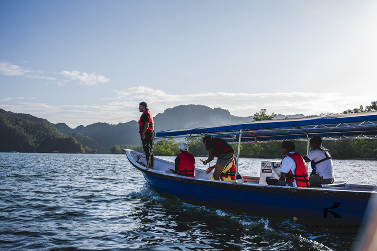 Langkawi: Sharing Mangrove Boat Tour 4 Hours