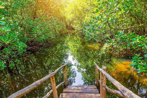 JOZANI FOREST NATIONAL PARK AND SPICE FARM