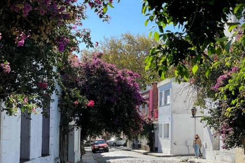 Colonia del Sacramento Private Stadtführung mit Käse- und WeinverkostungPrivater Rundgang durch Colonia del Sacramento mit Käse- und Weinverkostung