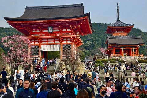 كيوتو/نارا: جولة عائلية ممتعة وثقافية بالسيارة مع خدمة التوصيل من الفندق