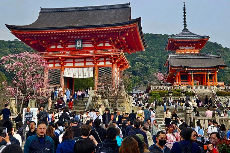 كيوتو/نارا: جولة عائلية ممتعة وثقافية بالسيارة مع خدمة التوصيل من الفندق