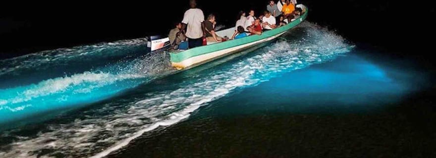 Circuit de la bioluminescence - Bocas del Toro