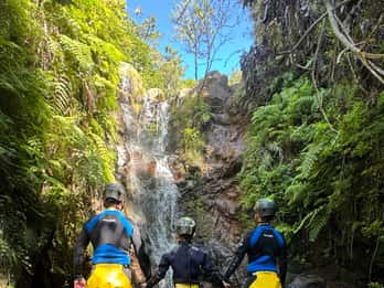 Madeira-Canyoning für Anfänger Rochão Level 1