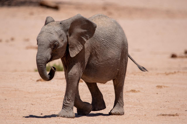 Windhoek: Namibia 12-Day Self-Drive Tour with Lodging