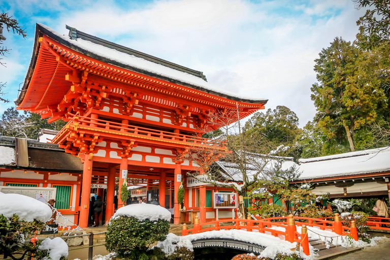 Kyoto : Visite personnalisable de 4 heures des sites du patrimoine mondialVisite privée en anglais (Kyoto central)