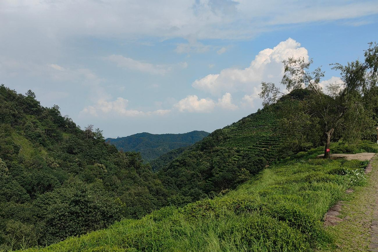 Hangzhou Jiuxi, Shililangdang & Yunqi Day Hiking Tour